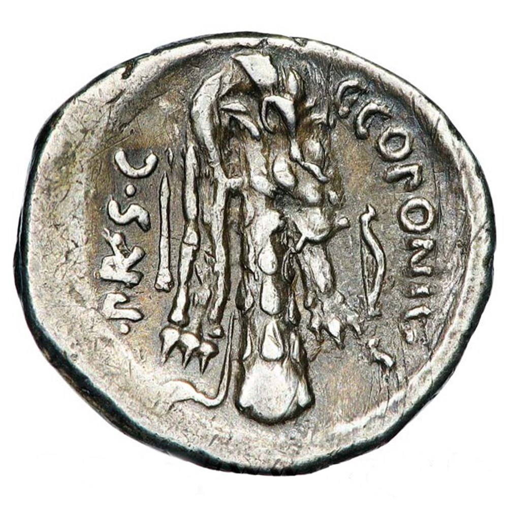 monnaies antiques a romaines imperiales et republicaines quintus sicinius