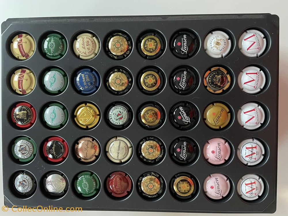 342730563_949805449548188_1178782566838937432_n capsules muselets champagne 342730563 949805449548188 1178782566838937432 n