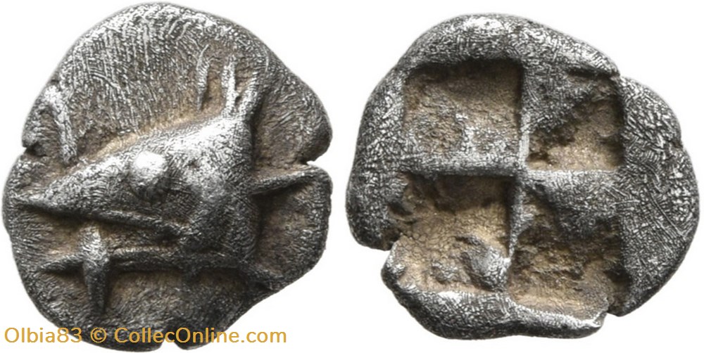 M Cyzique / Hémiobole / Tête de Thon à gauche avec un poisson dans sa gueule - Carré creux. monnaies antiques grecques m cyzique hemiobole tete de thon a gauche avec un poisson dans sa gueule carre creux