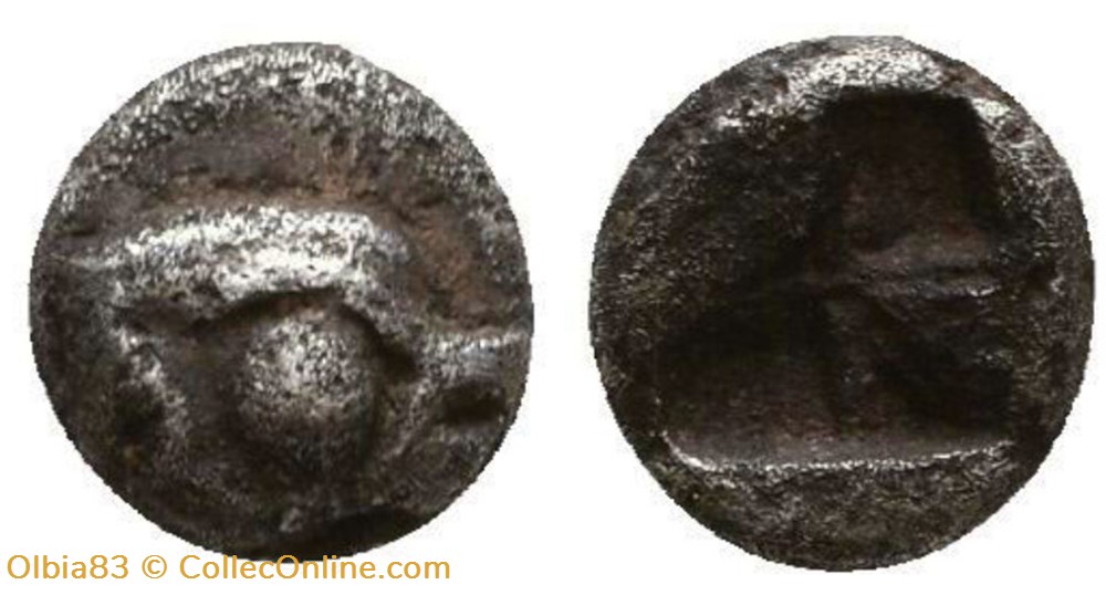 *Phocée / Hémiobole / Tête de phoque à droite / Carré creux quadripartite monnaies antiques grecques phocee hemiobole tete de phoque a droite carre creux quadripartite