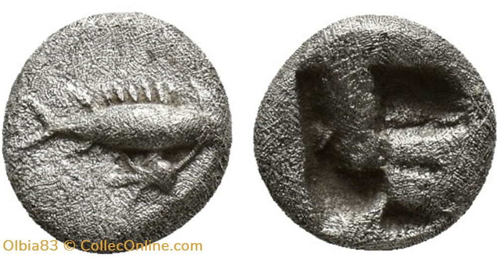 Cyzique / Obole / Thon nageant à droite - Carré creux monnaies antiques grecques cyzique obole thon nageant a droite carre creux