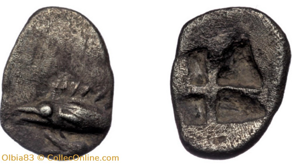 Cyzique / Hémiobole / Thon nageant à gauche - Carré creux monnaies antiques grecques cyzique hemiobole thon nageant a gauche carre creux