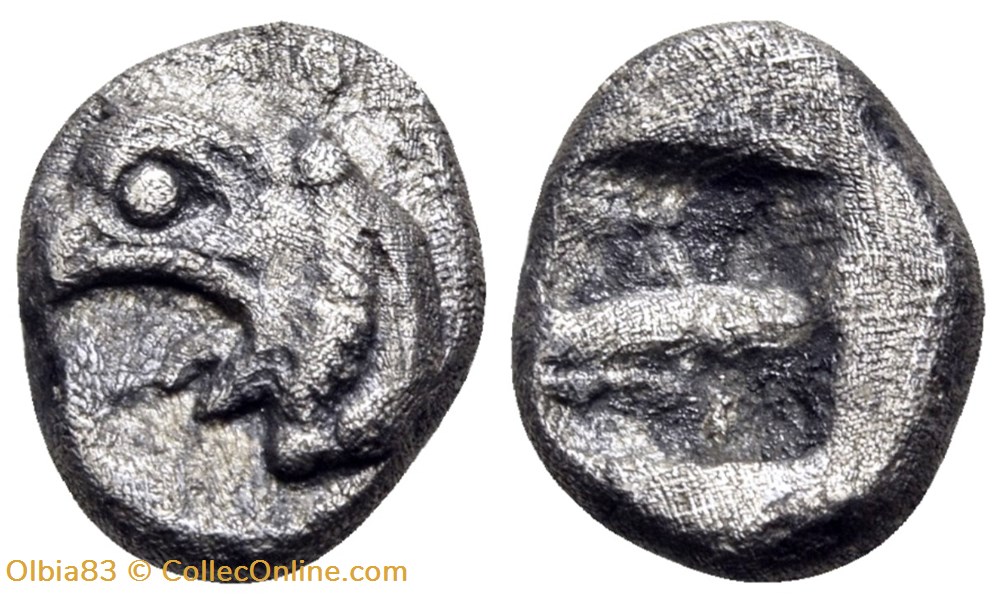Phocée / Trihémiobole / Tête de griffon à gauche - Carré creux . monnaies antiques grecques phocee trihemiobole tete de griffon a gauche carre creux