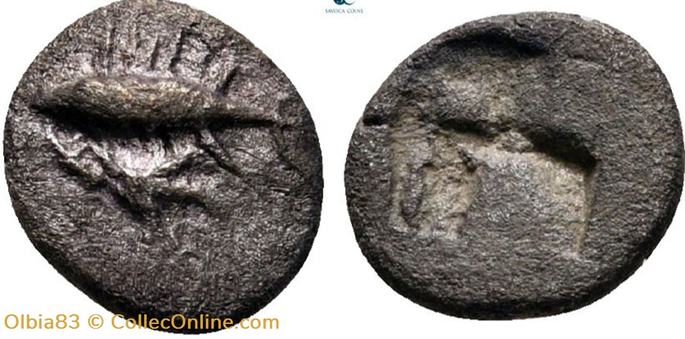 *Cyzique / Obole / Thon nageant à gauche - Carré creux monnaies antiques grecques cyzique obole thon nageant a gauche carre creux