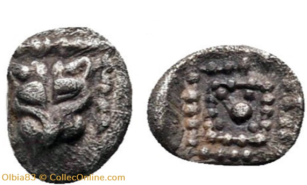 Milet / 1/64 eme de statère / Tête de Lion - Motif Stéllaire dans carré creux monnaies antiques grecques milet 1 64 eme de statere tete de lion motif stellaire dans carre creux