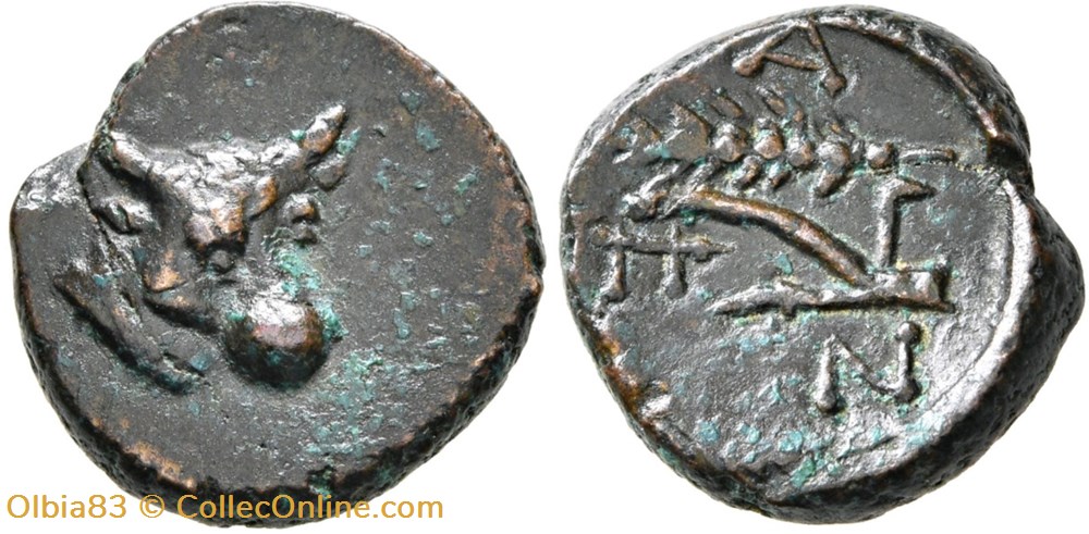 Chersonèse Taurique - Panticapée /Démi unité / Tête de Taureau / Blé et Charrue. monnaies antiques grecques chersonese taurique panticapee demi unite tete de taureau ble et charrue
