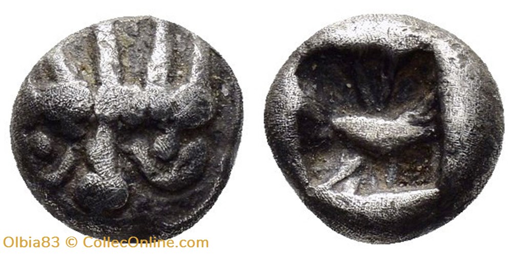 Asie Mineure-Incertaine-Obole-Face à tête de lion, coiffé d'une couronne radiée / Carré creux. monnaies antiques grecques asie mineure incertaine obole face a tete de lion coiffe une couronne radiee carre creux