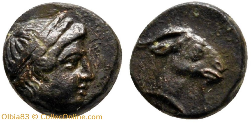 Aegea / Quart d'unité / Tête laurée d’Apollon à droite - Tête et cou de chèvre à droite. monnaies antiques grecques aegea quart unite tete lauree d apollon a droite tete et cou de chevre a droite