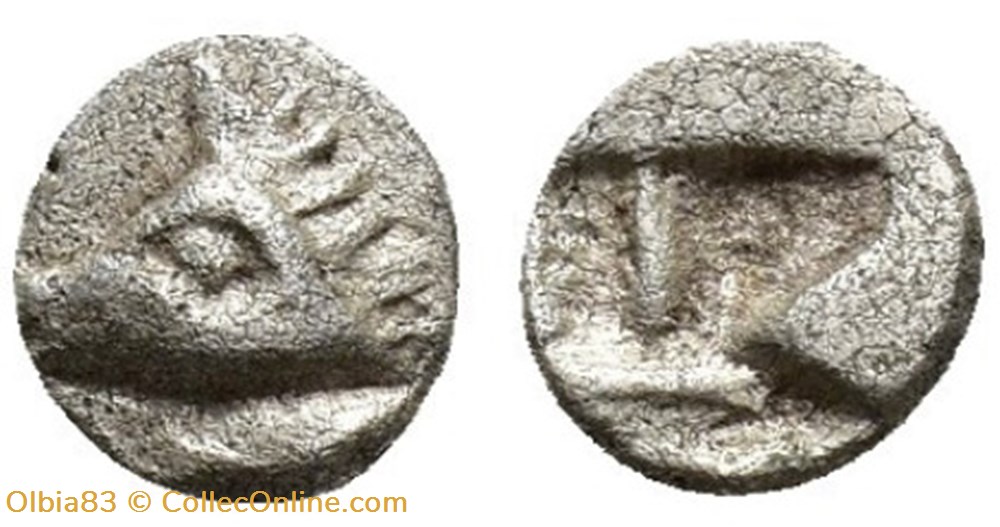 Atelier et Région Incertaines / Tête de Sanglier - Carré creux avec un dessin géométrique monnaies antiques grecques atelier et region incertaines tete de sanglier carre creux avec un dessin geometrique