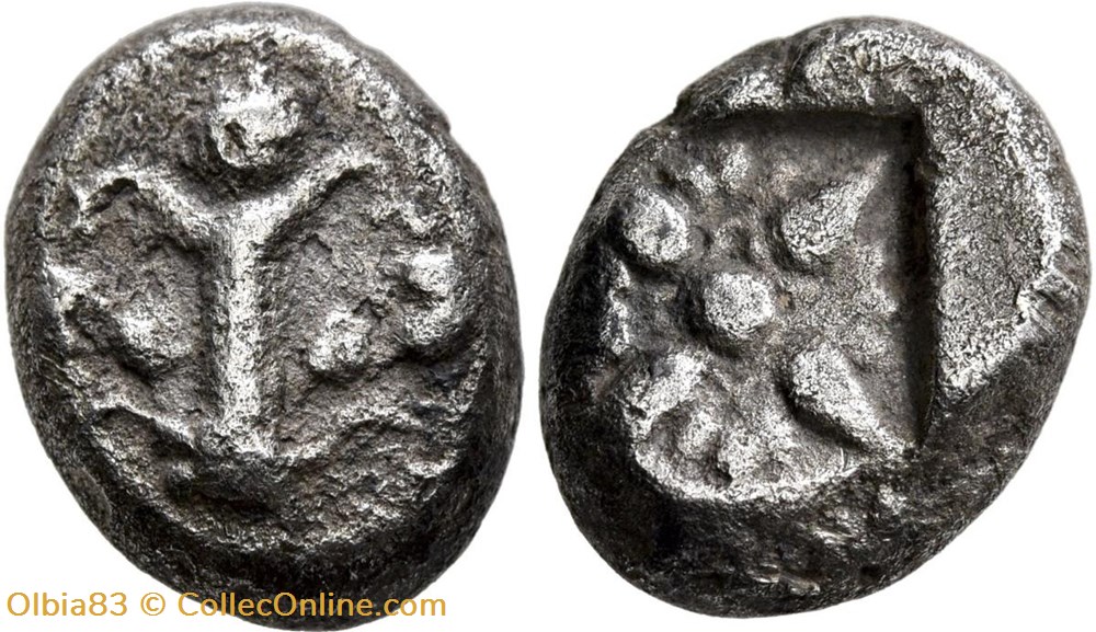 Cyrène / Drachme / Arbre de Silphium - Motif floral. monnaies antiques grecques cyrene drachme arbre de silphium motif floral