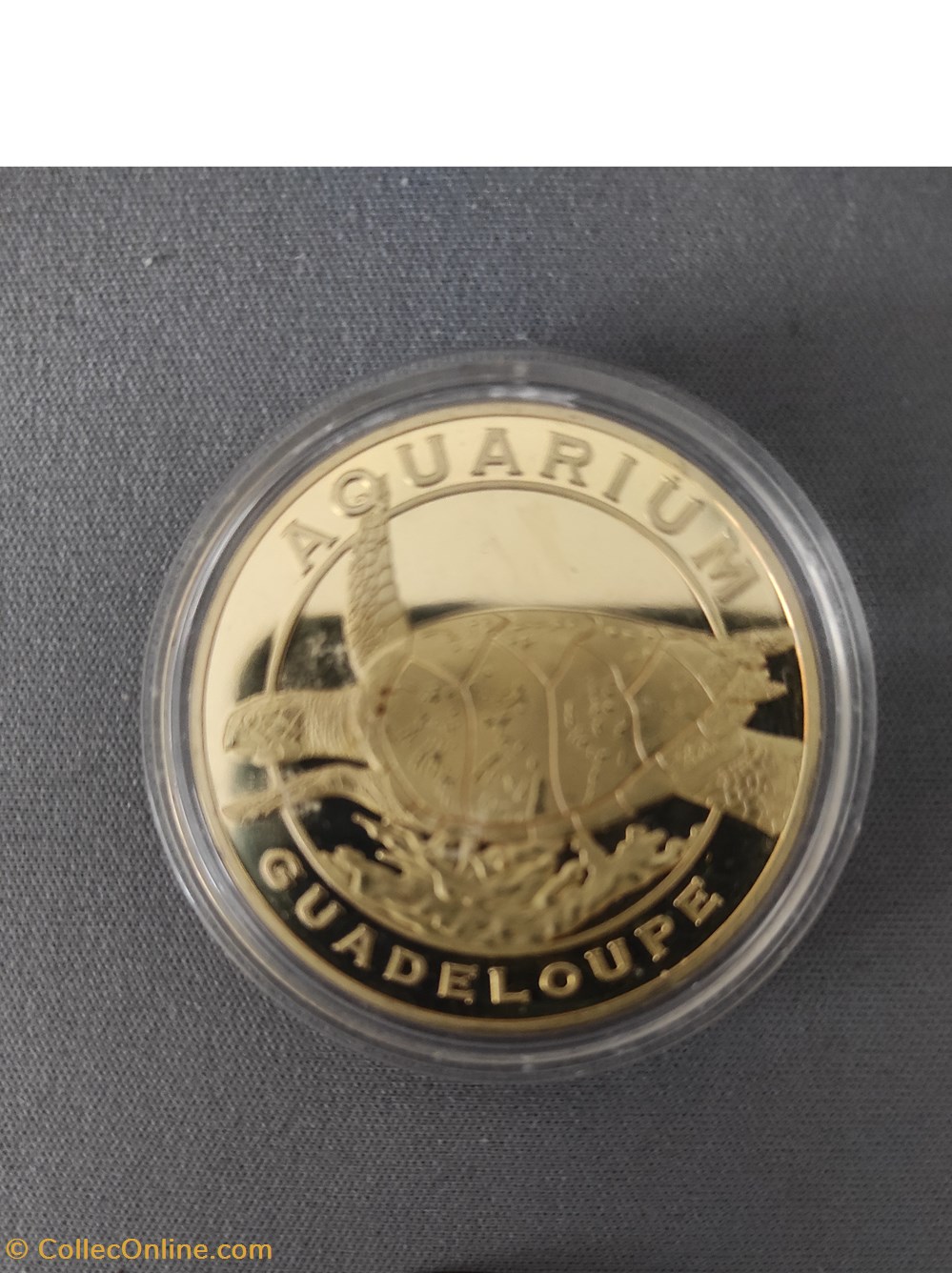 MEDAILLE DE L'AQUARIUM DE GUADELOUPE medailles medaille de aquarium de guadeloupe