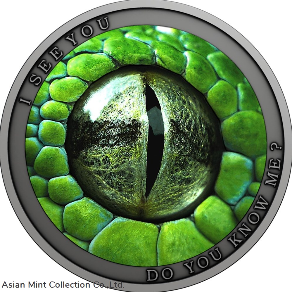 2021 Niue Wild Afrika Do You Know Me? Green Mamba Snake 1/2 oz Silver Coin coins ingots bullion 2021 niue wild afrika do you know me green mamba snake 1 2 oz silver coin