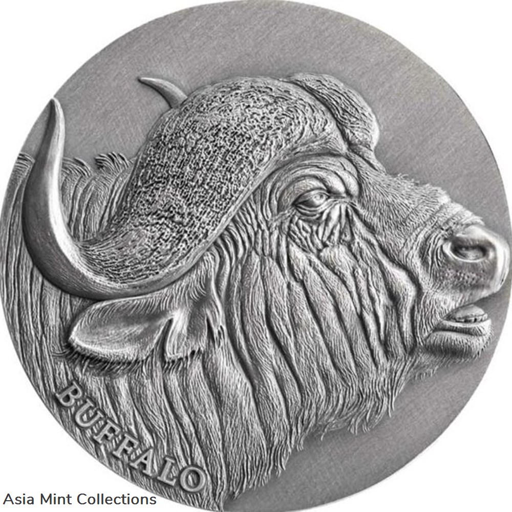 2022 - Buffalo Expressions of Wildlife 2 oz Antique finish Silver Coin Cameroon coins ingots bullion 2022 buffalo expressions of wildlife 2 oz antique finish silver coin cameroon