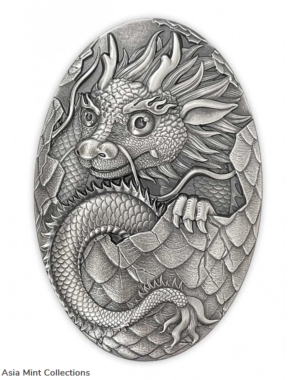 coins ingots bullion 2024 djibouti dragon egg 5oz silver shaped antique finish coin