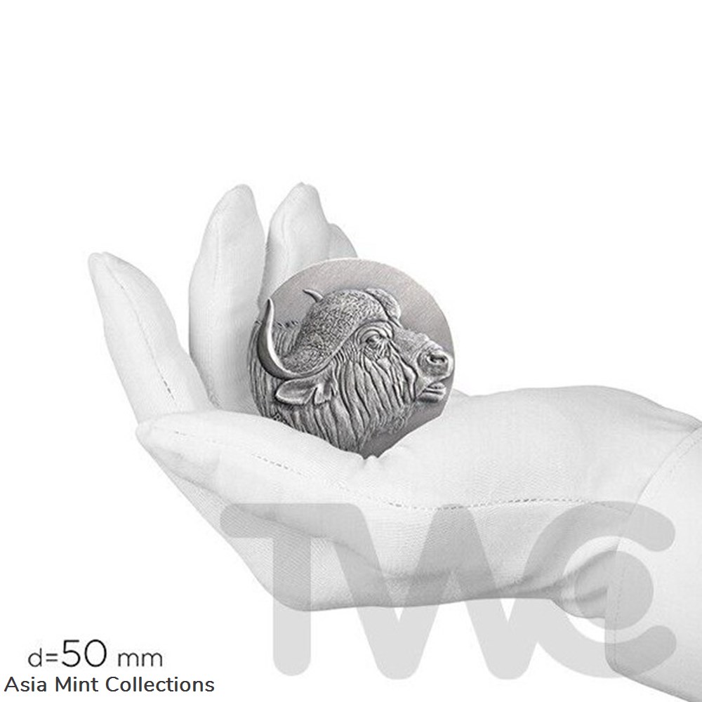 2022 - Buffalo Expressions of Wildlife 2 oz Antique finish Silver Coin Cameroon 5 coins ingots bullion 2022 buffalo expressions of wildlife 2 oz antique finish silver coin cameroon