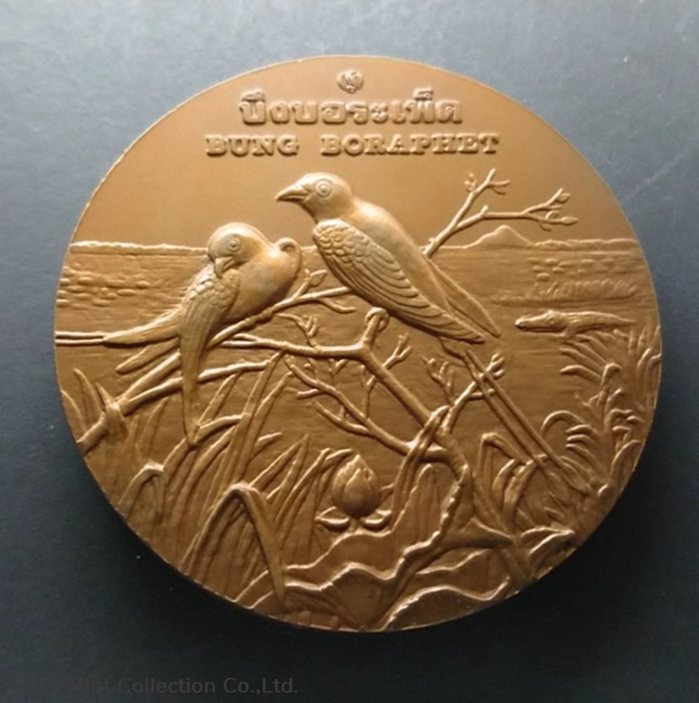 commemorative coin, medal of NAKHON SAWAN province size 7 cm coins commemorative coin medal of nakhon sawan province size 7 cm