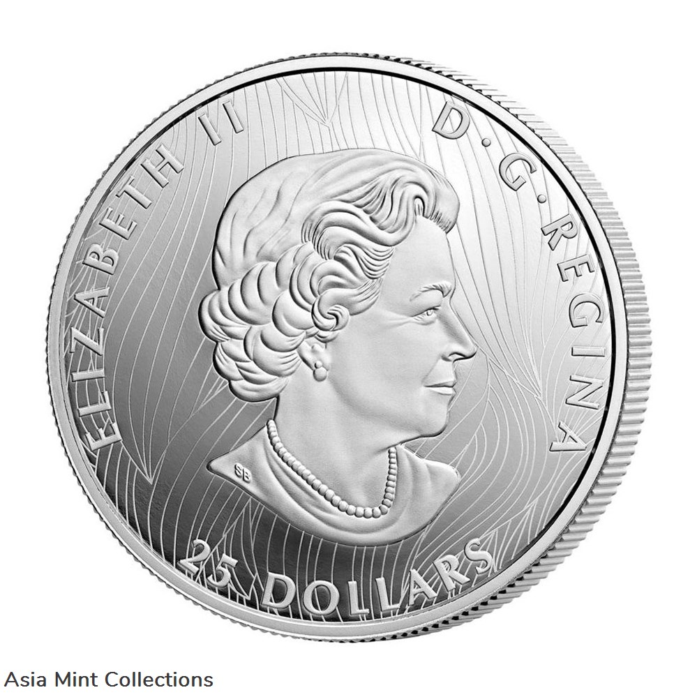 coins world 2021 canada buffalo extraordinary high relief 1 oz silver proof 25 coin
