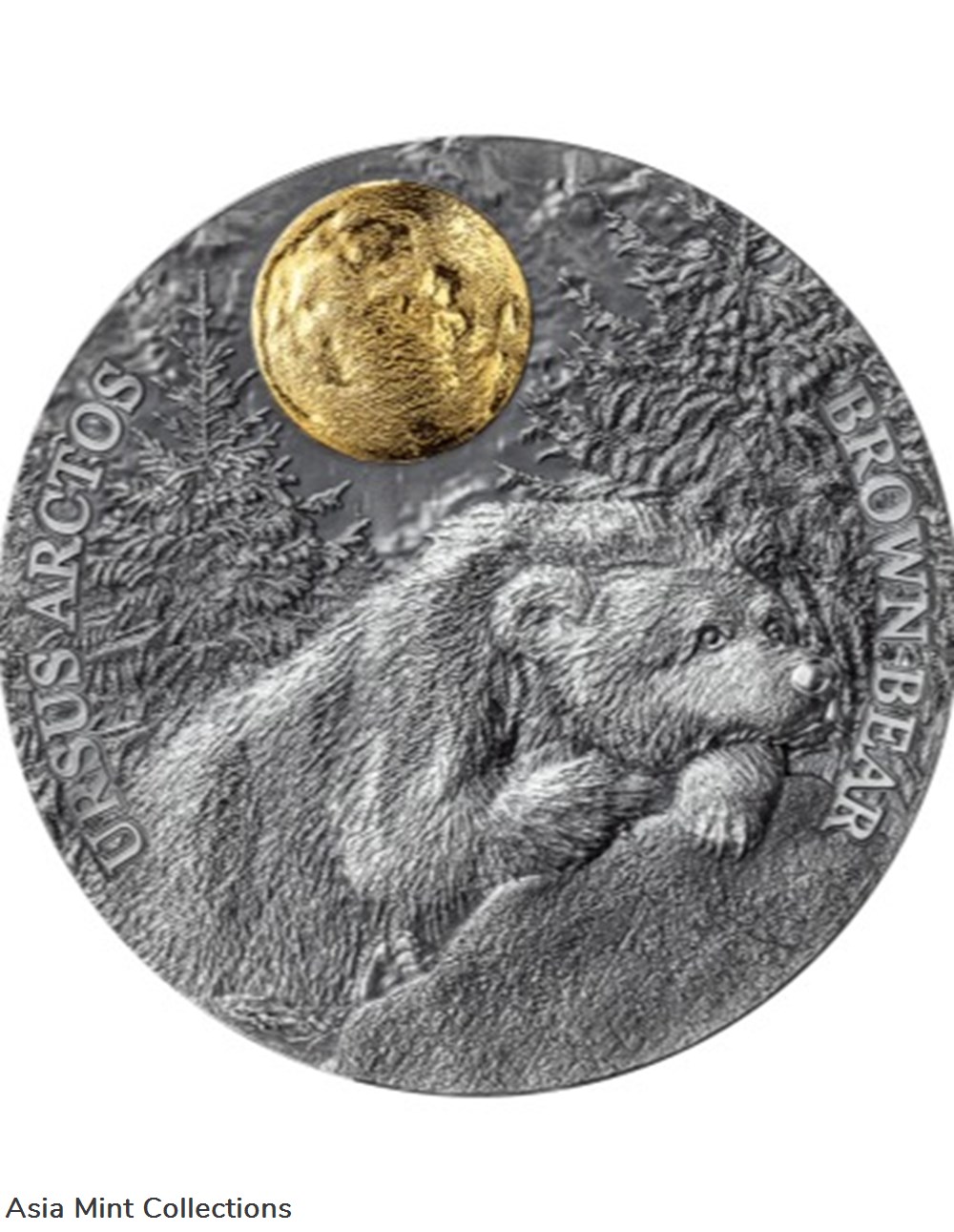 2023 - Brown Bear Wildlife in the Moonlight 2 oz Antique finish Silver Coin Niue coins ingots bullion 2023 brown bear wildlife in the moonlight 2 oz antique finish silver coin niue
