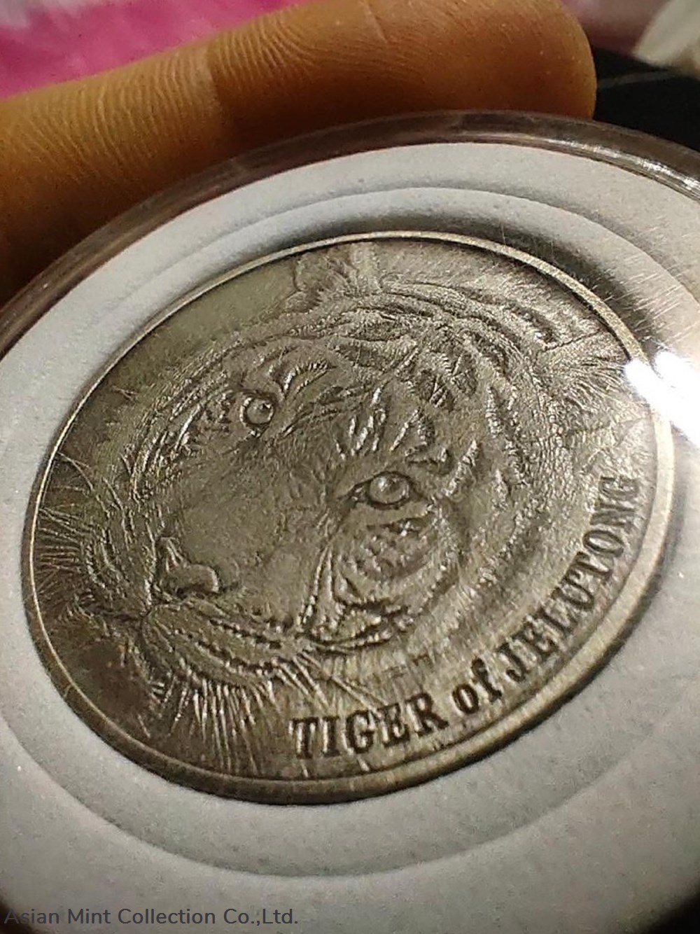 2014 - Karpal Singh (Tiger of Jelutong) pewter commemorative medallion 2 medals 2014 karpal singh tiger of jelutong pewter commemorative medallion