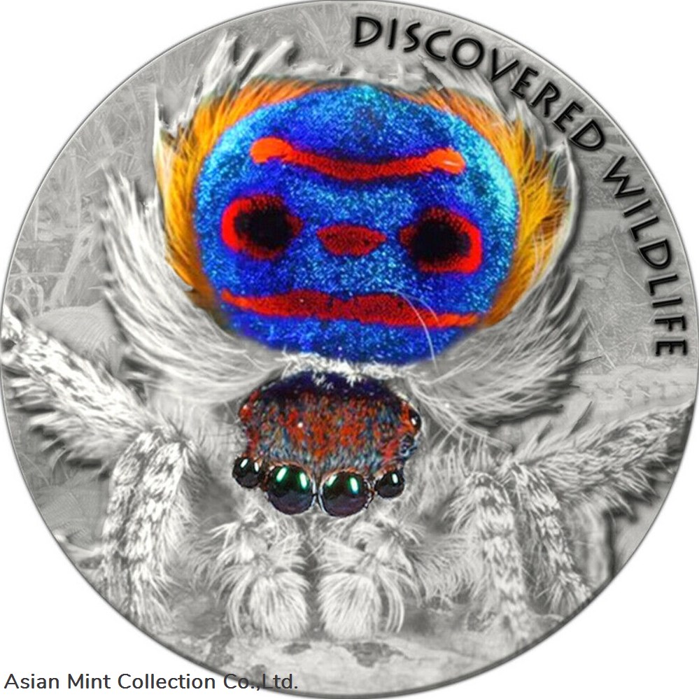 2021 Niue $2 Discovered Wildlife Peacock Spider 1/2 oz Silver Coin - 300 Made coins ingots bullion 2021 niue 2 discovered wildlife peacock spider 1 2 oz silver coin 300 made
