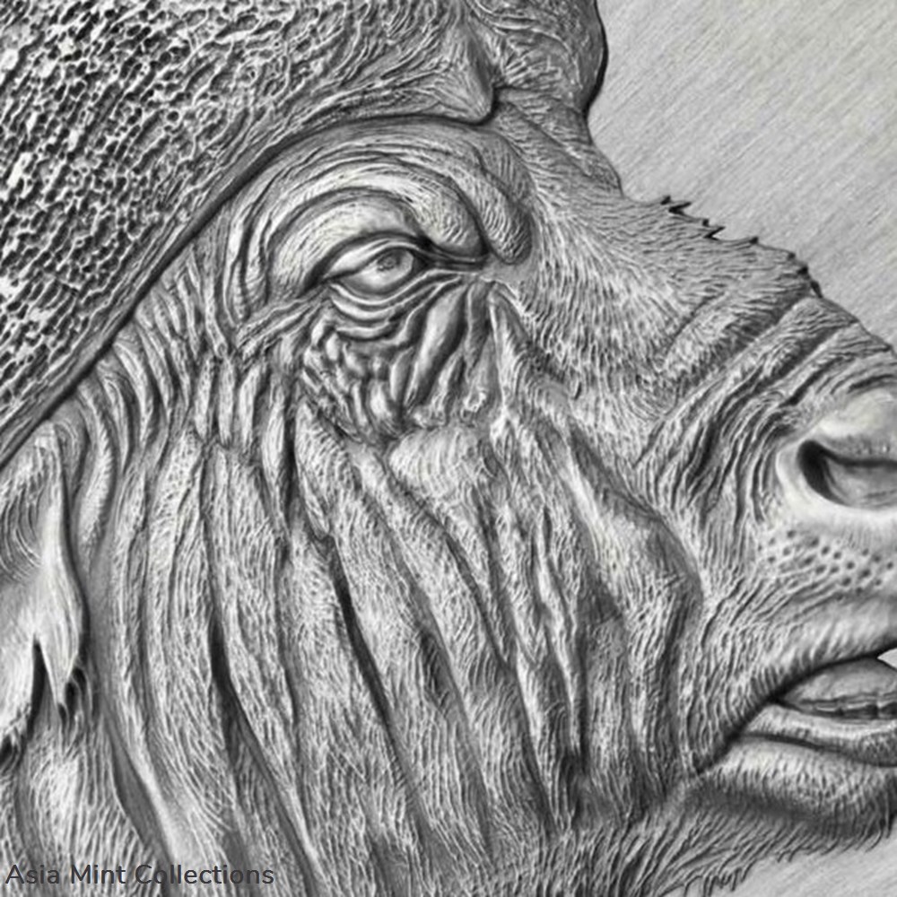 2022 - Buffalo Expressions of Wildlife 2 oz Antique finish Silver Coin Cameroon 3 coins ingots bullion 2022 buffalo expressions of wildlife 2 oz antique finish silver coin cameroon