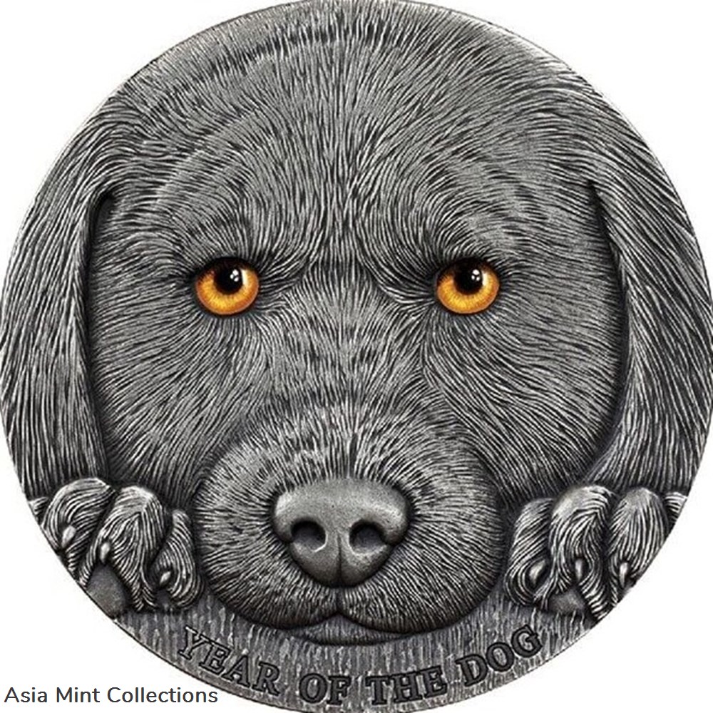 2018 - Year of the Dog 3 oz Antique finish Silver Coin 3000 Francs CFA Cameroon coins ingots bullion 2018 year of the dog 3 oz antique finish silver coin 3000 francs cfa cameroon