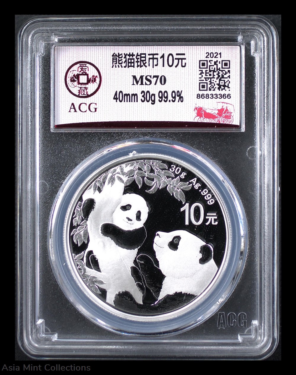 2021 - China 10 Yuan Panda Silver 30 g coins ingots bullion coin 2021 china 10 yuan panda silver 30 g