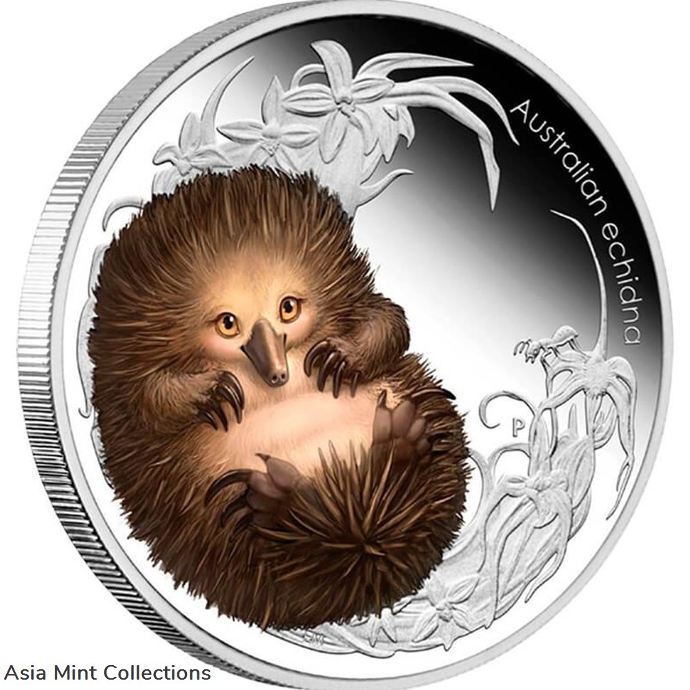 2013 50c Australian Bush Babies II Echidna 1/2oz Silver Coloured Proof Coin coins ingots bullion 2013 50c australian bush babies ii echidna 1 2oz silver coloured proof coin
