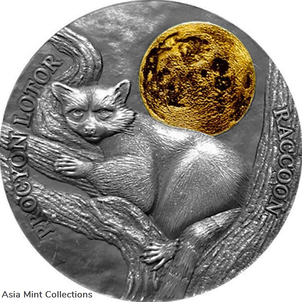 coins ingots bullion 2021 raccoon wildlife in the moonlight antique finish silver coin 2 cedis ghana
