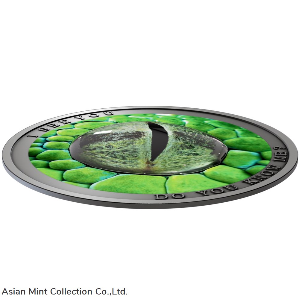 2021 Niue Wild Afrika Do You Know Me? Green Mamba Snake 1/2 oz Silver Coin 3 coins ingots bullion 2021 niue wild afrika do you know me green mamba snake 1 2 oz silver coin