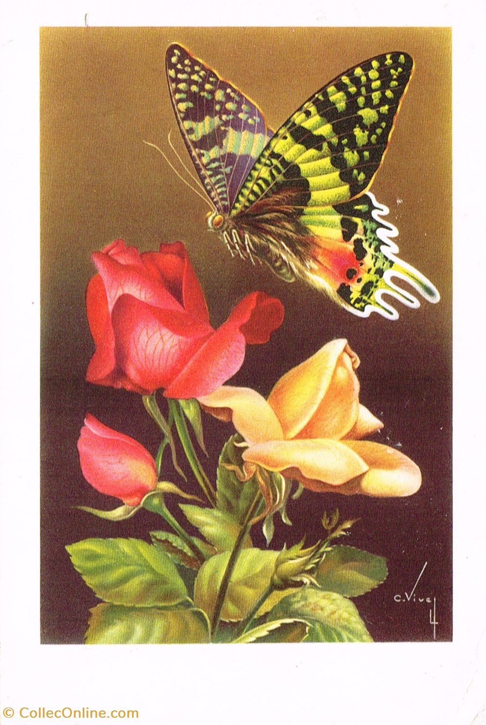 cartes postales divers carte de voeux