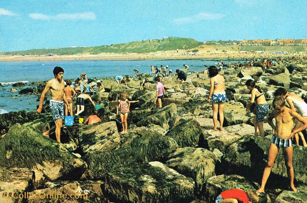 France-Somme-La pêche aux moules cartes postales france somme la peche aux moules