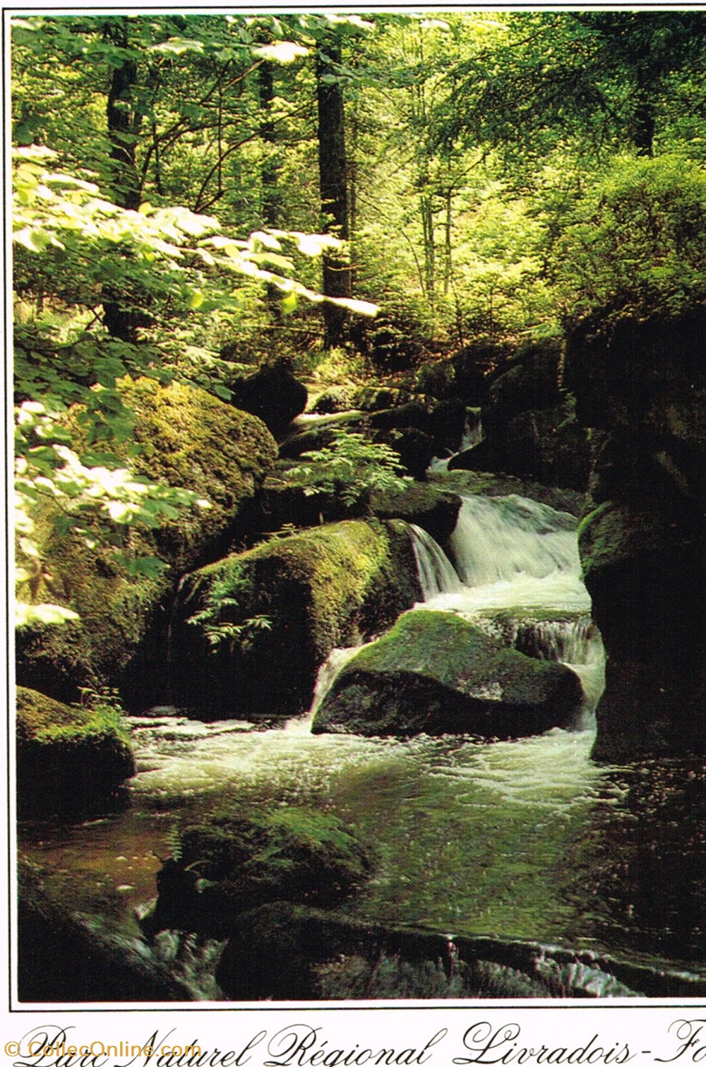 cartes postales france puys de dome parc regional du livradois