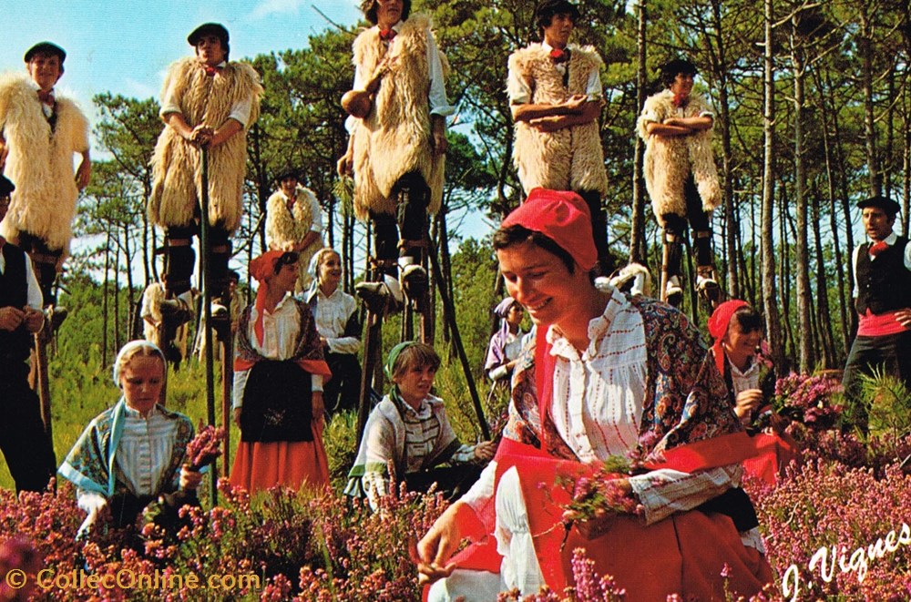 France-Landes-Folklore cartes postales france landes folklore