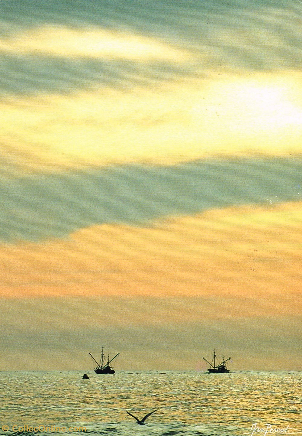 cartes postales belgique mer du nord