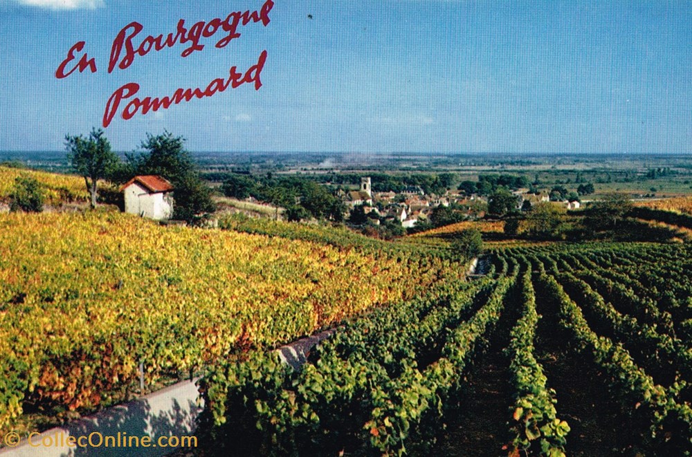 cartes postales france cote or pommard
