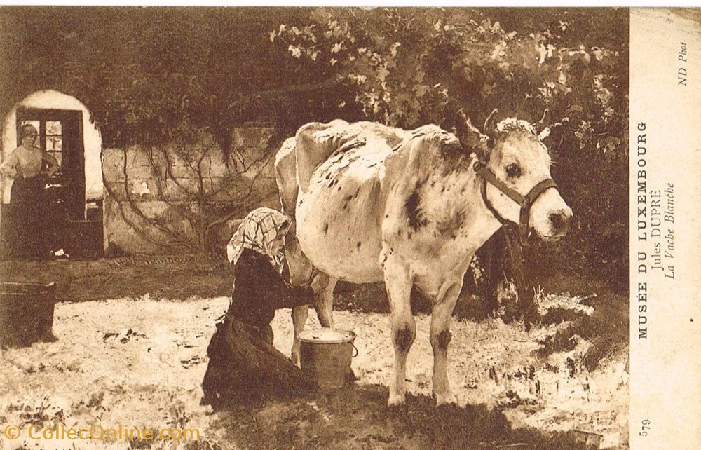 cartes postales luxembourg musee la vache blanche