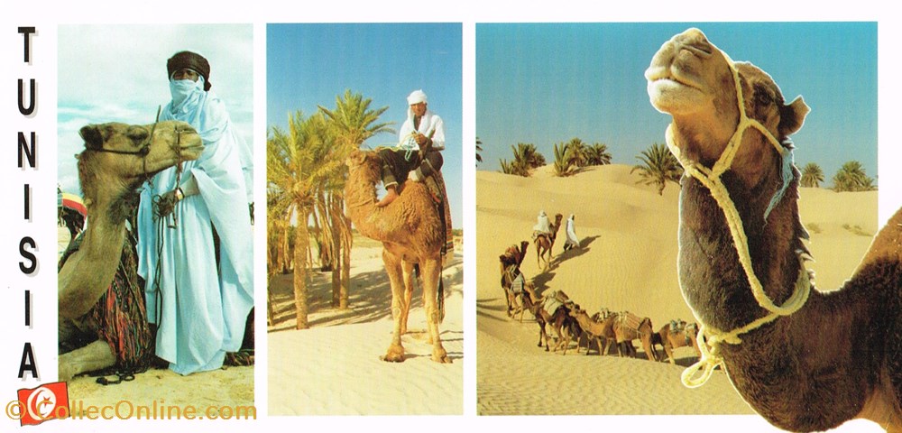 Tunisie-Djerba cartes postales tunisie djerba