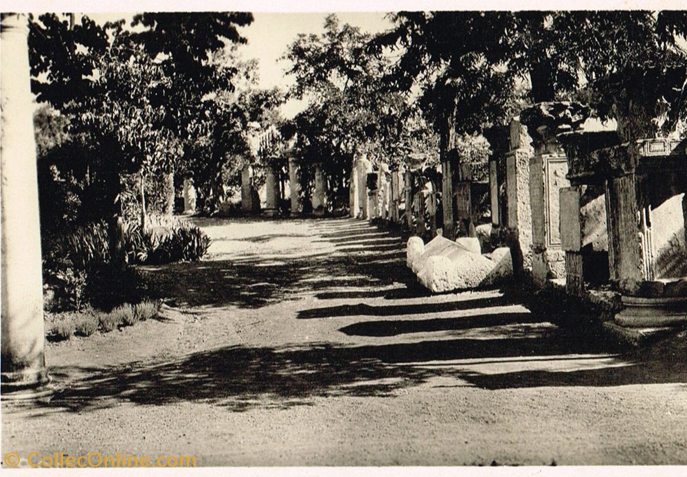 cartes postales algerie setif jardins orleans
