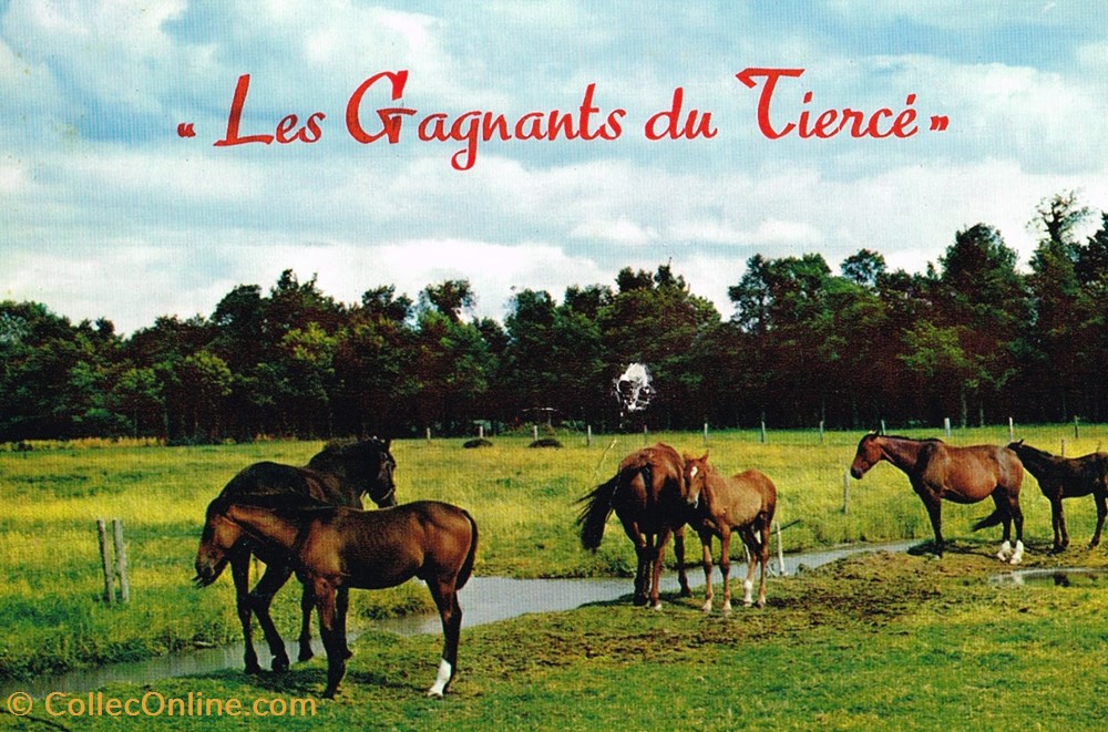 cartes postales france calvados lisieux