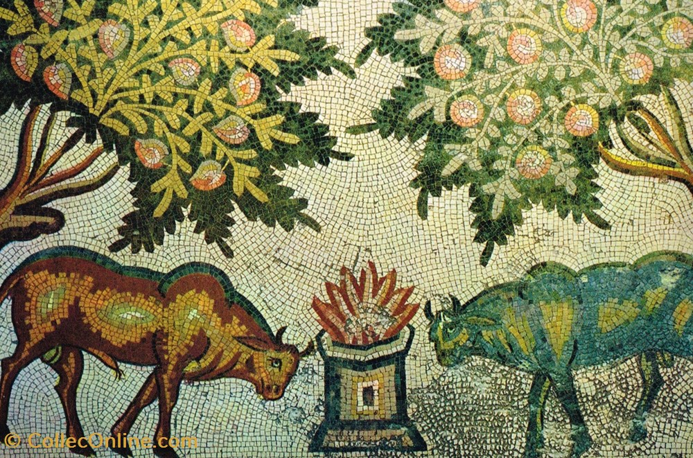 Jordanie-Mosaic at Mukhayat cartes postales jordanie mosaic at mukhayat
