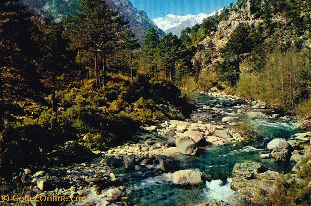 France-Corse-La restonica cartes postales france corse la restonica