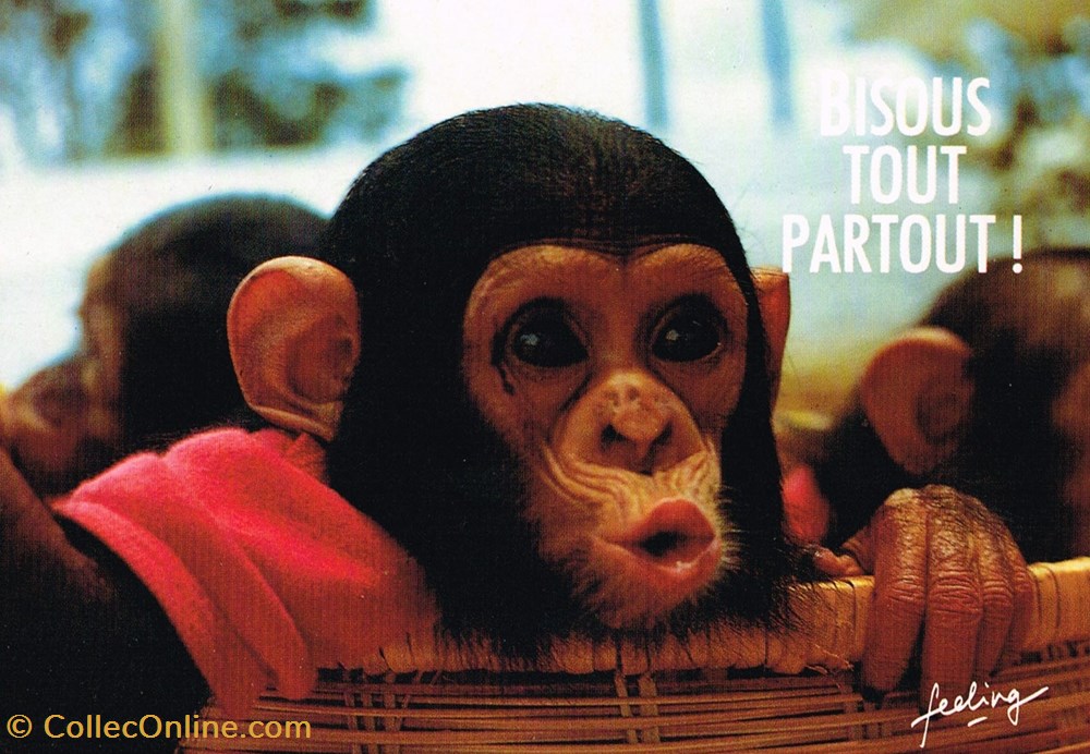 cartes postales divers mots de passe