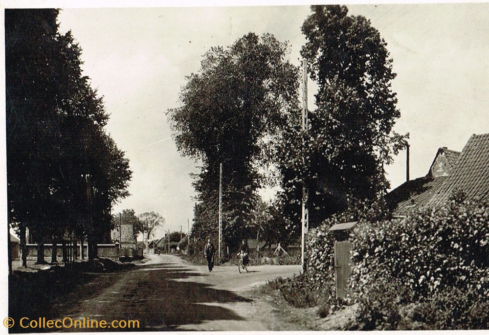 France-Pas de Calais-Maintenay cartes postales france pas de calais maintenay