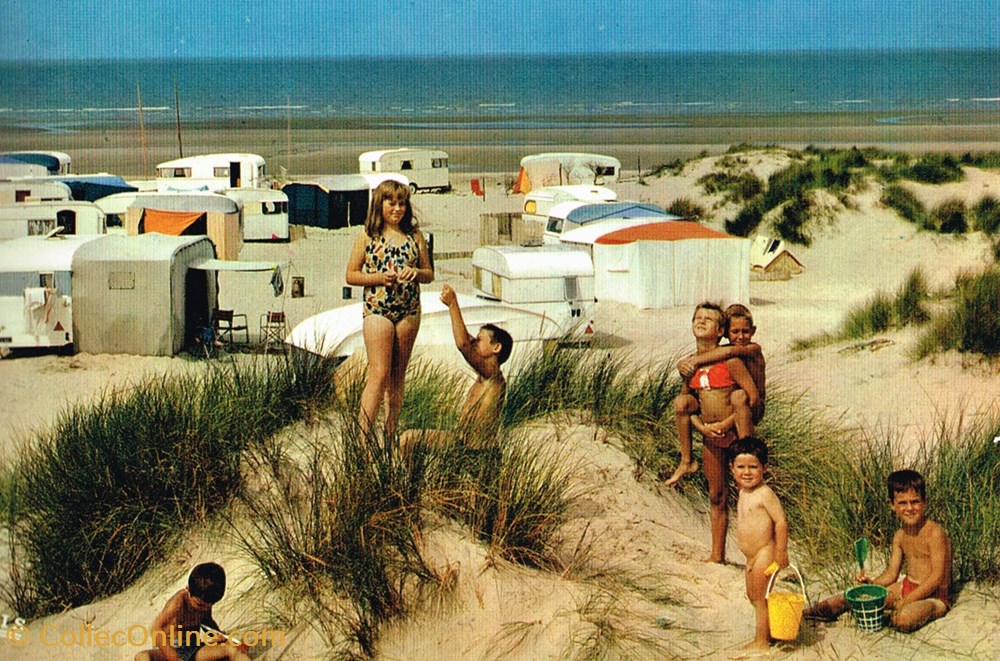 cartes postales france nord bray dune camping perroquet