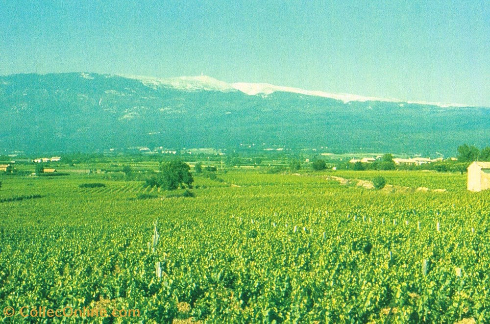 cartes postales france vaucluse cotes du ventoux