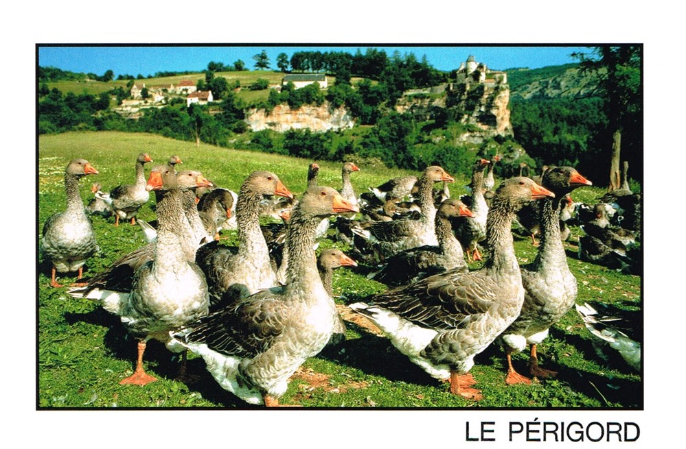cartes postales france le perigord