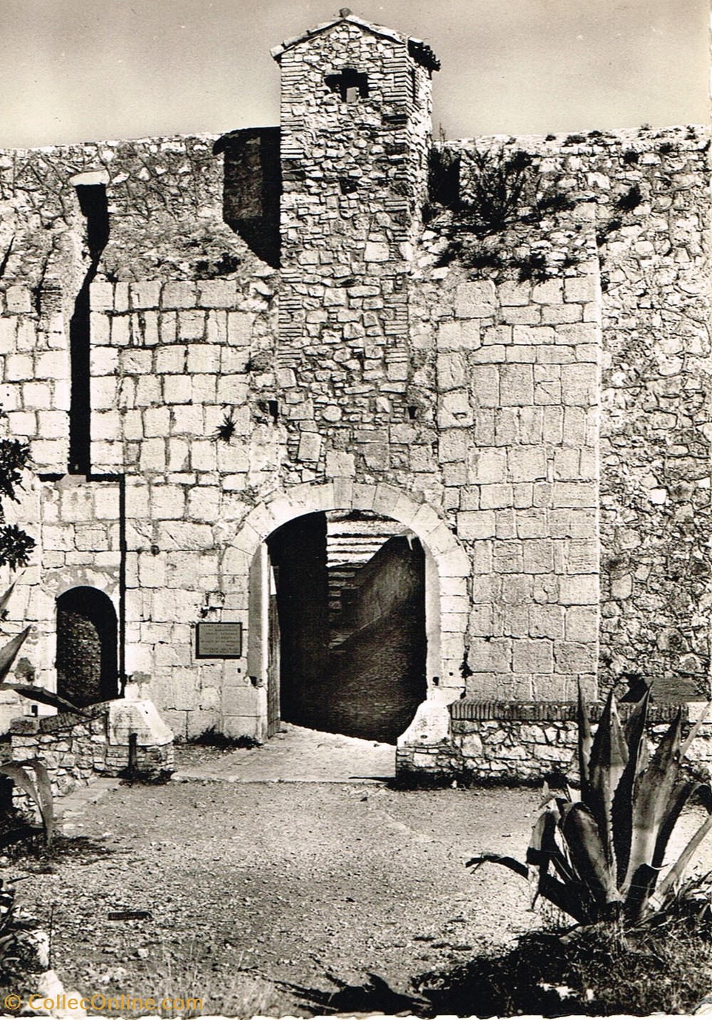 cartes postales france alpes maritimes cannes ile ste marguerite