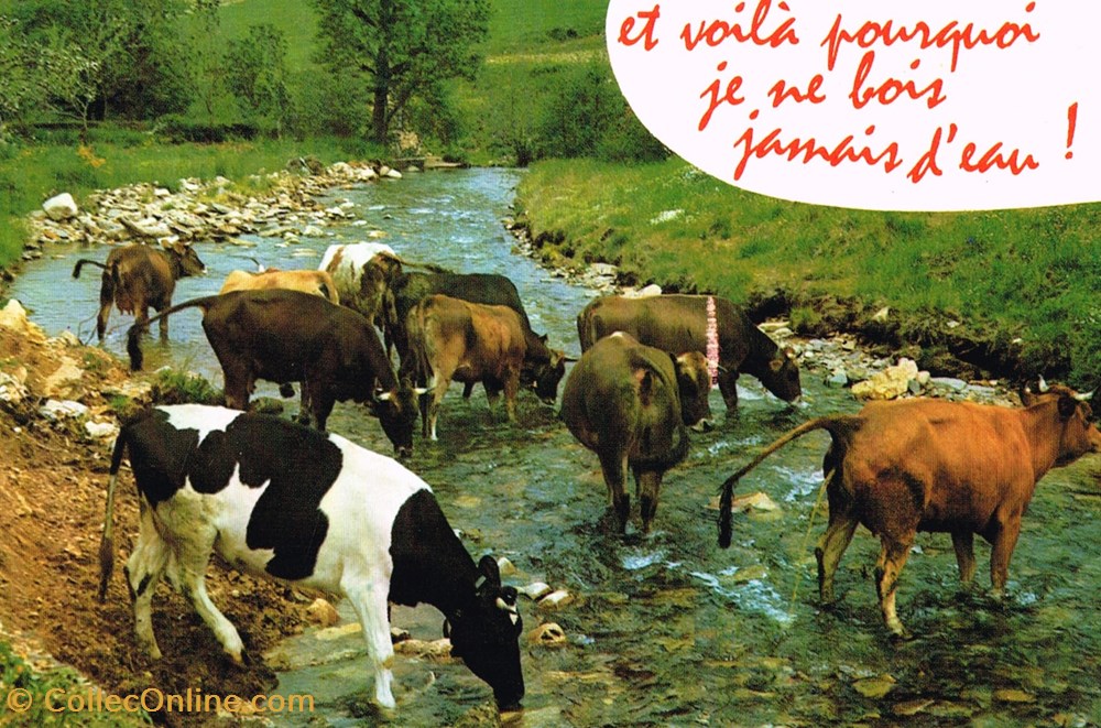 France-Haute Savoie cartes postales france haute savoie