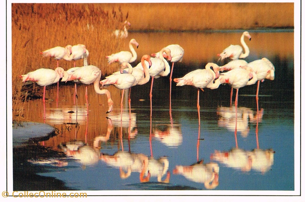 France-Divers cartes postales france divers